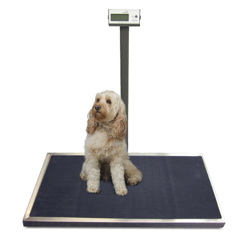 [110-3110-00] Midmark Platform Scale