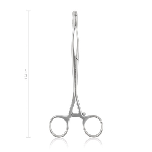 [146216] Tongue Forceps Collin