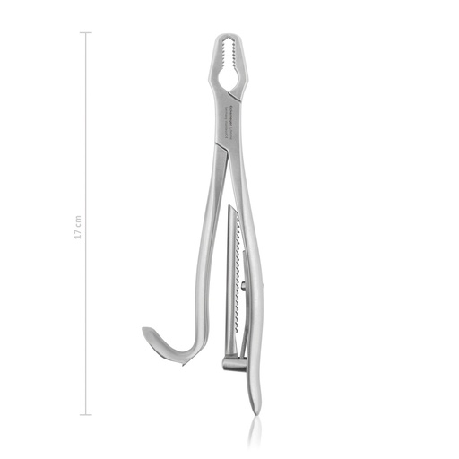 [183117] Bone Holding Forceps Kern (Length: 170mm)