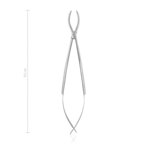 [170310] Cilia Forceps GRADLE