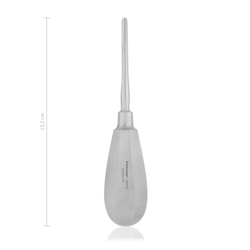 [175304] Bein Dental Elevator (4mm)