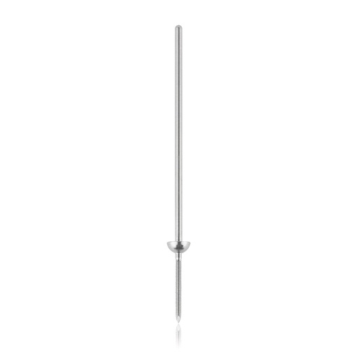 [185516] Plate Positioning Pin