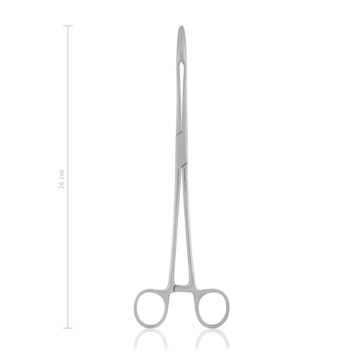 [137426] Gross-Maier Dressing Forceps (Length: 260mm, Form: straight) 