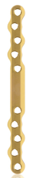 [187755] EickLoxx Large Bone Plate - 10 Long holes (L:120mm) Gold