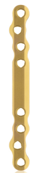 [187753] EickLoxx Large Bone Plate - 8-hole Long(L:100mm) Gold