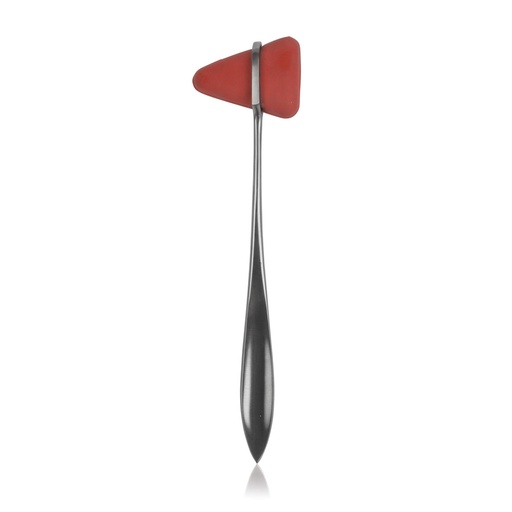 [310220] Reflex Hammer Taylor