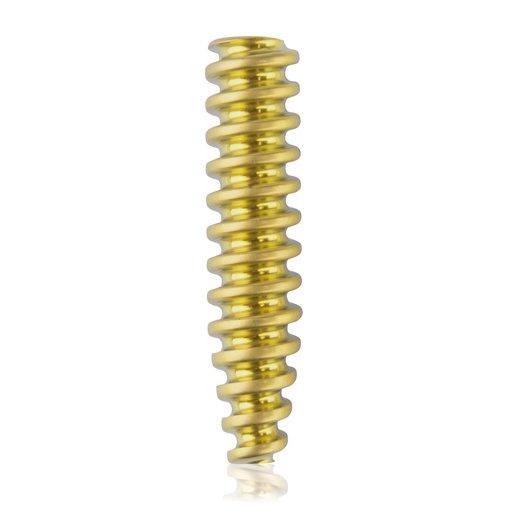 [191547] Zlig Interference Screw 4.5 x 20mm(Gold)