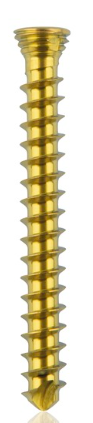 [185534] Titanium locking screw 2.3 x 20mm