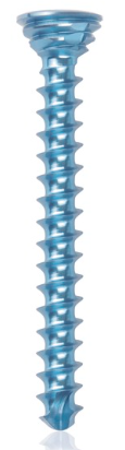 [185542] Titanium locking screw 2.7 x 24mm