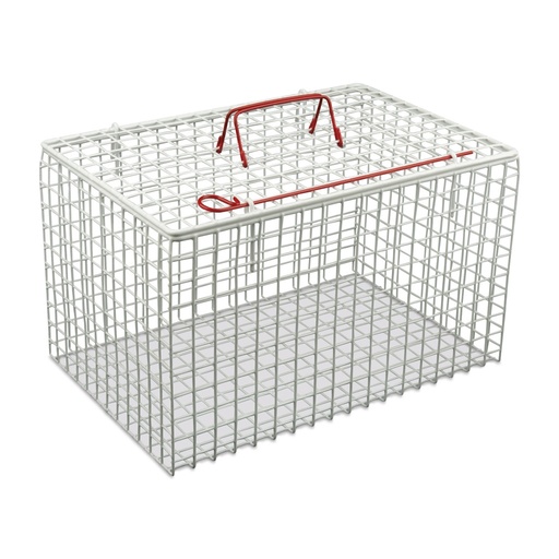 [642000] Cat Basket