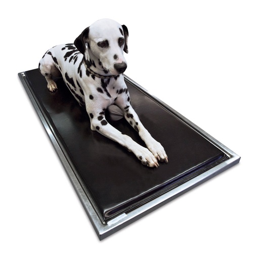 [602286] DENTO-DORM® Treatment Table Mattress