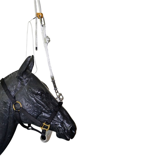 [178175] Equine Dental Halter