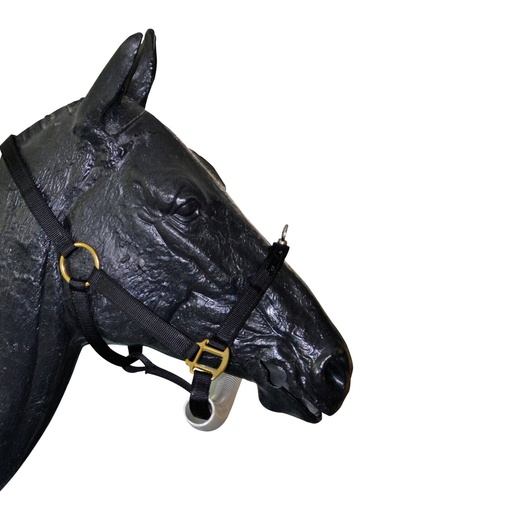 [177555] Equine Dental Halter - Basic