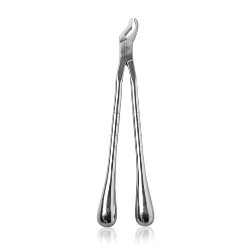[178180] Fragment Forceps (Gooseneck)