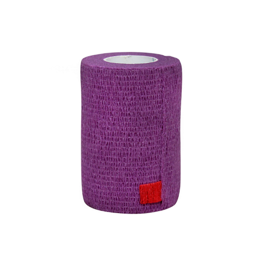 [4809476] Genia Bitter Strap Band, Purple (5 cm x 4.5cm) 